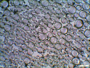 hollow-glass-microspheres-t32